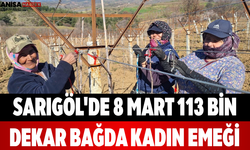 Sarıgöl'de 8 Mart 113 Bin Dekar Bağda Kadın Emeği