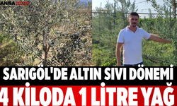 Sarıgöl'de Altın Sıvı Dönemi 4 Kiloda 1 Litre Yağ