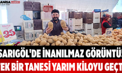 Sarıgöl'de İnanılmaz Görüntü! Tek Bir Tanesi Yarım Kiloyu Geçti