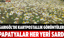 Sarıgöl'de Kartpostallık Görüntüler! Papatyalar Her Yeri Sardı