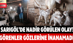 Sarıgöl'de Nadir Görülen Olay! Görenler Gözlerine İnanamadı