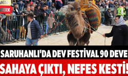 Saruhanlı'da Dev Festival 90 Deve Sahaya Çıktı, Nefes Kesti!