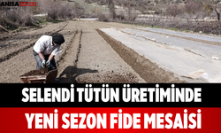 Selendi Tütün Üretiminde Yeni Sezon Fide Mesaisi