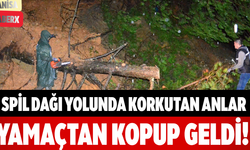 Spil Dağı Yolunda Korkutan Anlar Yamaçtan Kopup Geldi!