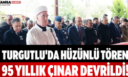 Turgutlu'da Hüzünlü Tören 95 Yıllık Çınar Devrildi!