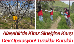 Alaşehir'de Kiraz Sineğine Karşı Dev Operasyon! Tuzaklar Kuruldu