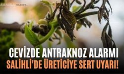 Cevizde Antraknoz Alarmı Salihli'de Üreticiye Sert Uyarı!