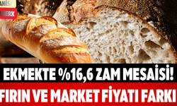 Ekmekte %16,6 Zam Mesaisi! Fırın ve Market Fiyatı Farkı
