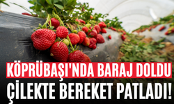 Köprübaşı'nda Baraj Doldu, Çilekte Bereket Patladı!