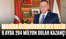 Manisa Üzümünden Dev Gelir 6 Ayda 294 Milyon Dolar Kazanç!