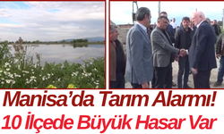 Manisa’da Tarım Alarmı! 10 İlçede Büyük Hasar Var