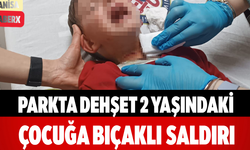 Parkta Dehşet 2 Yaşındaki Çocuğa Bıçaklı Saldırı