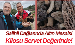 Salihli Dağlarında Altın Mesaisi Kilosu Servet Değerinde!