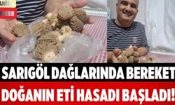 Sarıgöl Dağlarında Bereket Doğanın Eti Hasadı Başladı!