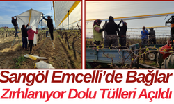 Sarıgöl Emcelli’de Bağlar Zırhlanıyor Dolu Tülleri Açıldı
