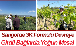 Sarıgöl'de 3K Formülü Devreye Girdi! Bağlarda Yoğun Mesai