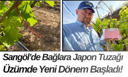 Sarıgöl’de Bağlara Japon Tuzağı Üzümde Yeni Dönem Başladı!