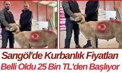 Sarıgöl'de Kurbanlık Fiyatları Belli Oldu 25 Bin TL'den Başlıyor