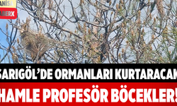 Sarıgöl’de Ormanları Kurtaracak Hamle: Profesör Böcekler!