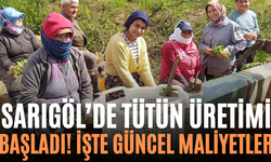 Sarıgöl’de Tütün Üretimi Başladı! İşte Güncel Maliyetler