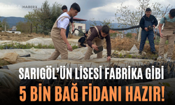 Sarıgöl’ün Lisesi Fabrika Gibi 5 Bin Bağ Fidanı Hazır!