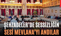 Şehzadeler’de Sessizliğin Sesi Mevlana’yı Andılar