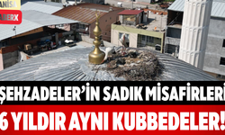 Şehzadeler’in Sadık Misafirleri 6 Yıldır Aynı Kubbedeler!