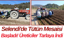 Selendi'de Tütün Mesaisi Başladı! Üreticiler Tarlaya İndi