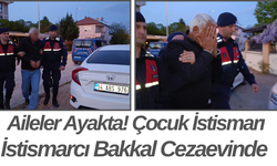 Aileler Ayakta! Çocuk İstismarı Şüphelisi Tutuklandı