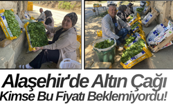 Alaşehir'de Altın Çağı Kimse Bu Fiyatı Beklemiyordu!