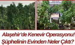 Alaşehir’de Kenevir Operasyonu! Şüphelinin Evinden Neler Çıktı?