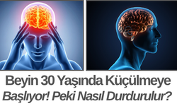 Beyin 30 Yaşında Küçülmeye Başlıyor! Peki Nasıl Durdurulur?