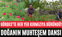 Gördes’te Her Yer Kırmızıya Büründü! Doğanın Muhteşem Dansı