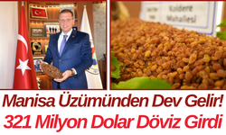 Manisa Üzümünden Dev Gelir! 321 Milyon Dolar Döviz Girdi