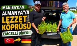 Manisa’dan Almanya’ya Lezzet Köprüsü: Emcelli Biberi!