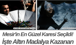 Mesir'in En Güzel Karesi Seçildi! İşte Altın Madalya Kazanan