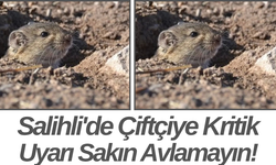 Salihli'de Çiftçiye Kritik Uyarı Sakın Avlamayın!
