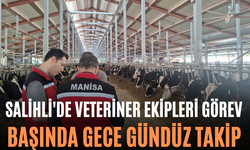 Salihli'de Veteriner Ekipleri Görev Başında Gece Gündüz Takip