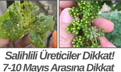 Salihlili Üreticiler Dikkat! 7-10 Mayıs Arasına Dikkat