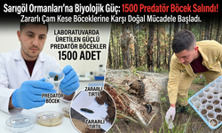 Sarıgöl Ormanlarında Doğal Mücadele Dönemi Başladı!