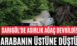 Sarıgöl'de Asırlık Ağaç Devrildi! Arabanın Üstüne Düştü