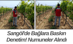 Sarıgöl'de Bağlara Baskın Denetim! Numuneler Alındı