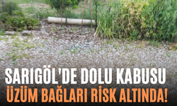 Sarıgöl'de Dolu Kabusu Üzüm Bağları Risk Altında!