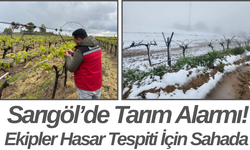 Sarıgöl’de Tarım Alarmı! Ekipler Hasar Tespiti İçin Sahada