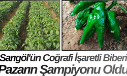 Sarıgöl'ün Coğrafi İşaretli Biberi Pazarın Şampiyonu Oldu