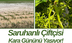 Saruhanlı Çiftçisi Kara Gününü Yaşıyor!