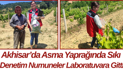 Akhisar’da Asma Yaprağında Sıkı Denetim Numuneler Laboratuvara Gitti
