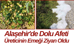 Alaşehir'de Dolu Afeti Üreticinin Emeği Ziyan Oldu
