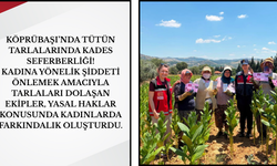 Köprübaşı’nda Tütün Tarlalarında KADES Seferberliği!