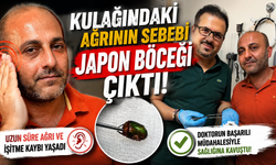 Kulağındaki Ağrının Sebebi Japon Böceği Çıktı